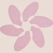 Blissful Skin and Beauty logo