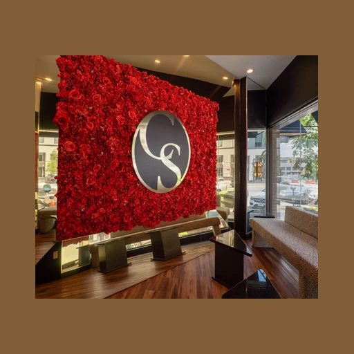 Cosmo Salon Studios logo