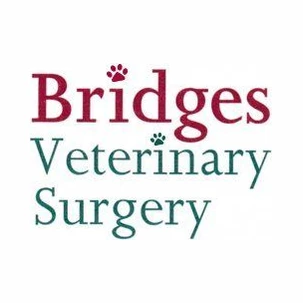 Bridges Veterinary Surgery logo