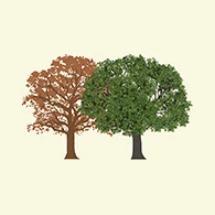The Wychwood Golf Club logo