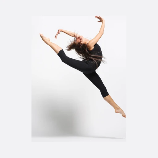 The Dance Depot logo