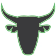 Bull Roofing LLC logo