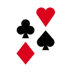 Straight Flush Plumbing logo