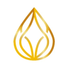 NE Wellness Massage & Head Spa logo
