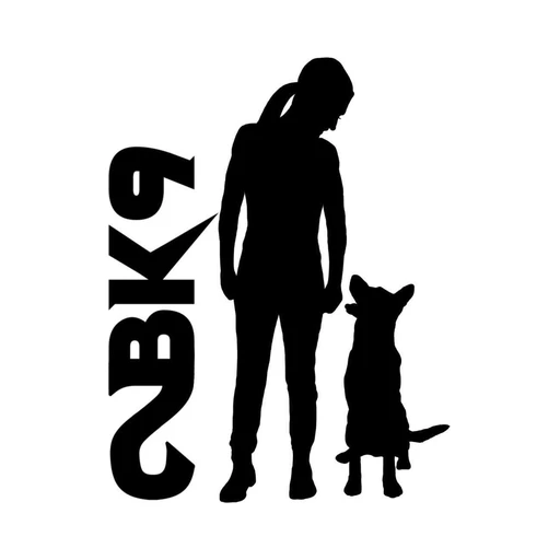 2BK9 logo