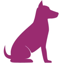 City Vet logo